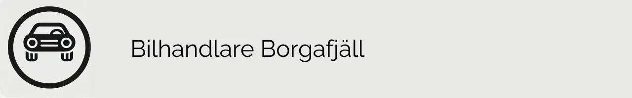 Bilhandlare Borgafjäll