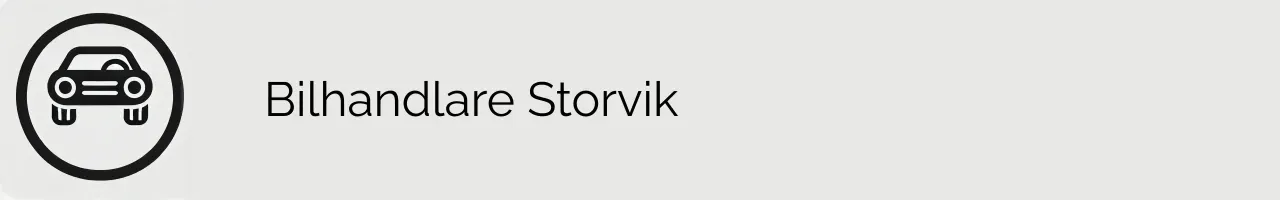 Bilhandlare Storvik