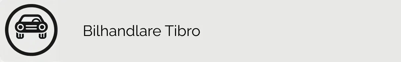 Bilhandlare Tibro